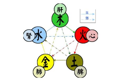 土木五行|五行（对万事万物的取象比类）